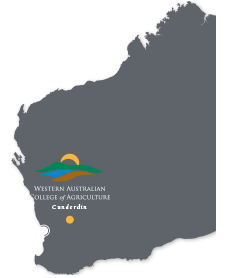 Western Australian College of Agriculture Cunderdin Map