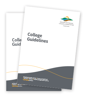 College Guidelines Download